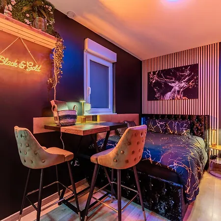 Apartamento Studio Gold - Climatisation, Wi-Fi Fibre & Stationnement Facile Drusenheim