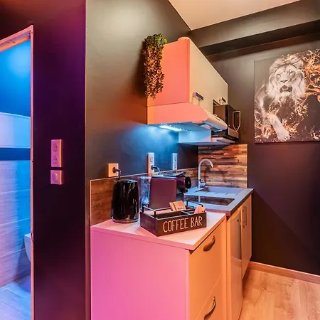 Studio Gold - Climatisation, Wi-Fi Fibre & Stationnement Facile * Drusenheim