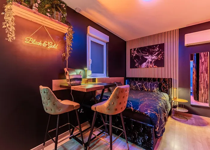 Apartment Gold Proche Gare - Netflix - Wifi - Cuisine Drusenheim