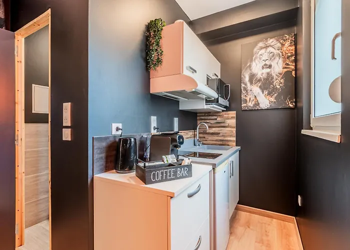Gold Proche Gare - Netflix - Wifi - Cuisine Apartment